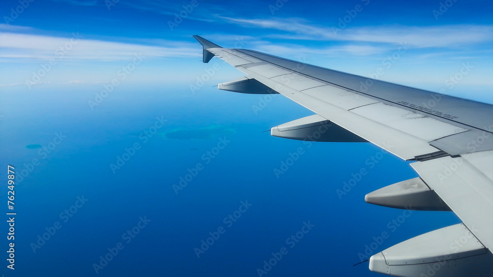 Fototapeta premium Flyin'