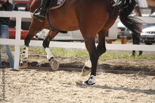 Cantering horse legs close up