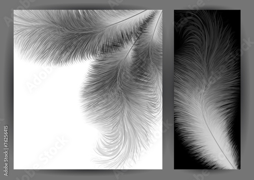Abstract feather background