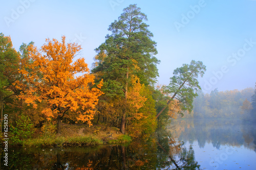 Fall forest near lake