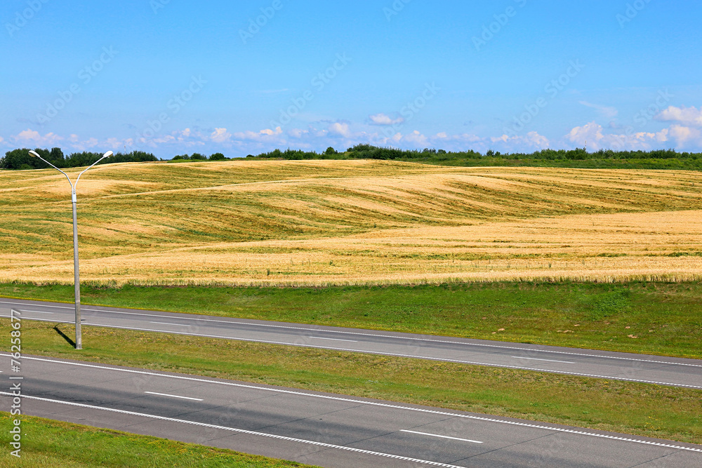 Landscape of wheat field and road on a background of blue sky