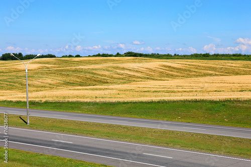 Landscape of wheat field and road on a background of blue sky