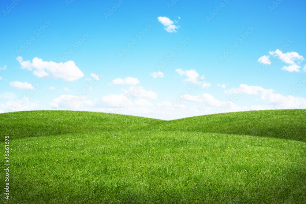 Fototapeta premium Green field and blue sky