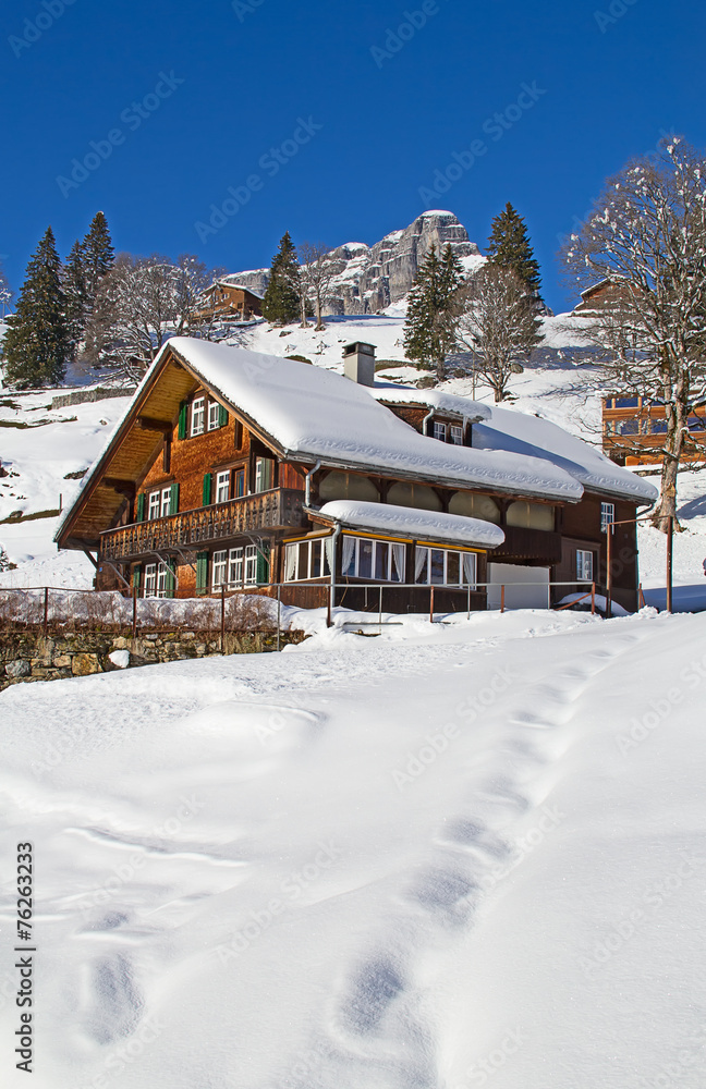 Winter in alps