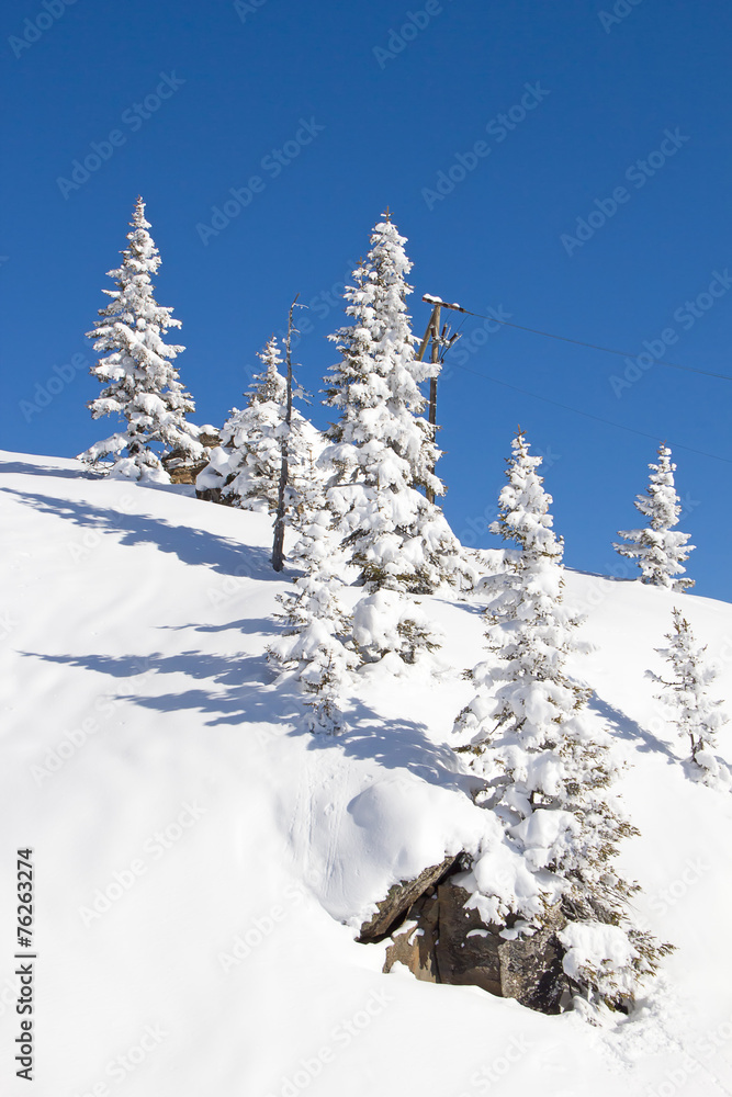 Winter in alps Winter in alps