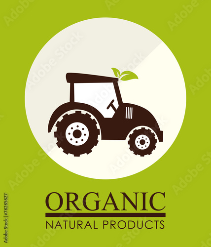 Food design, vector illustration.