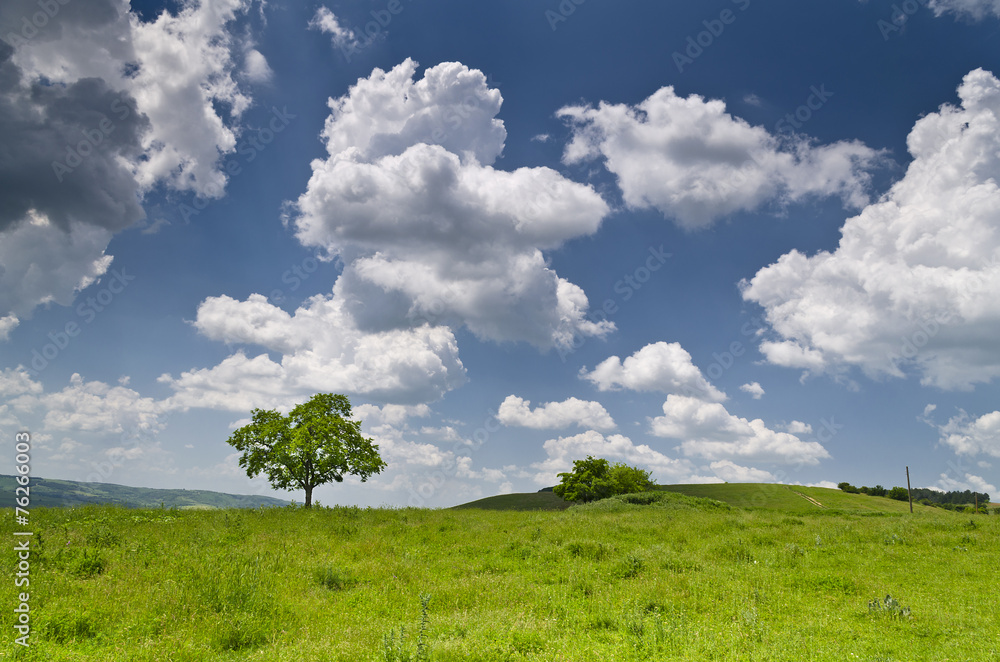 Dramatic Blue Sky, Meadow and a tree near the village Katselovo Dramatic Blue Sky, Meadow and a tree near the village Katselovo