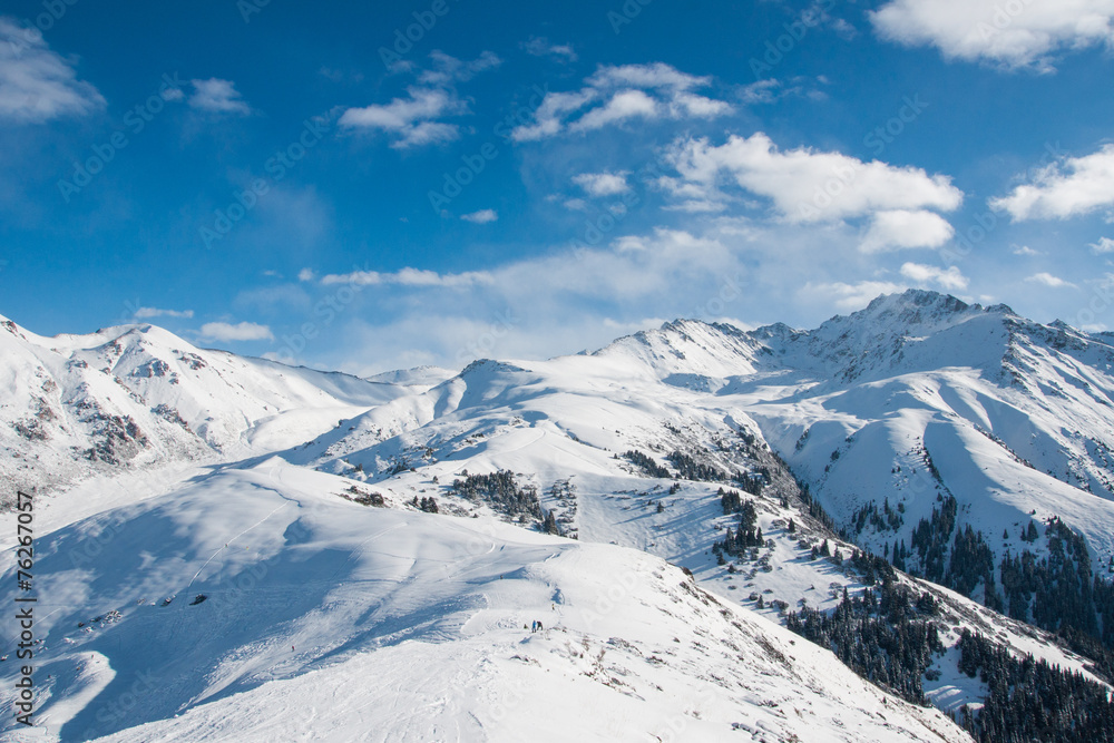 winter landscape