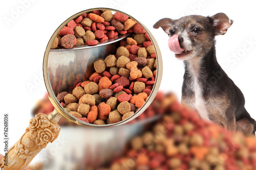Magnigying in on dog nutrition photo