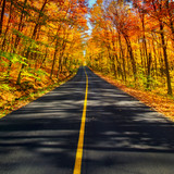 The Long Rural Autumn Road Corridor