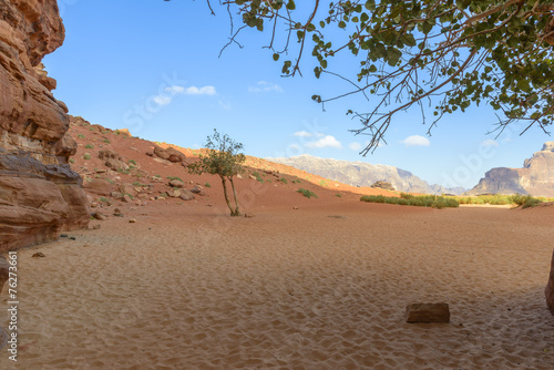 Wadi Rum desert in Jordan photo