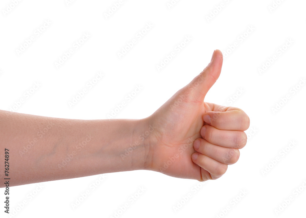 hands showing thumb up isolated over white hands showing thumb up isolated over white