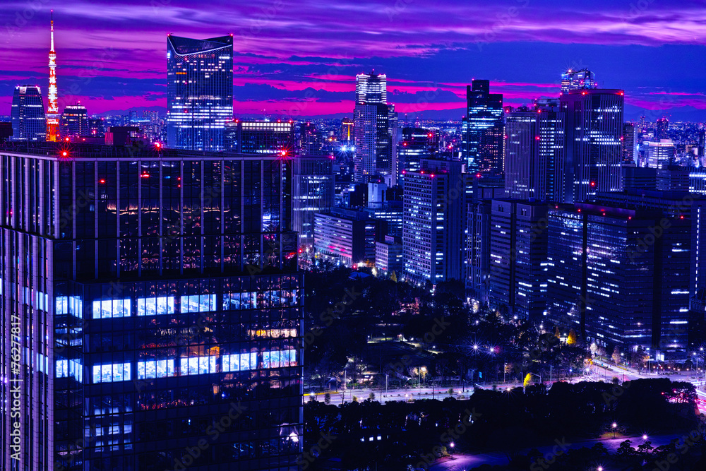 Obraz premium 東京の夜景
