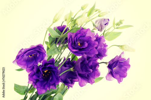 Bouquet of violet fresh flowers.