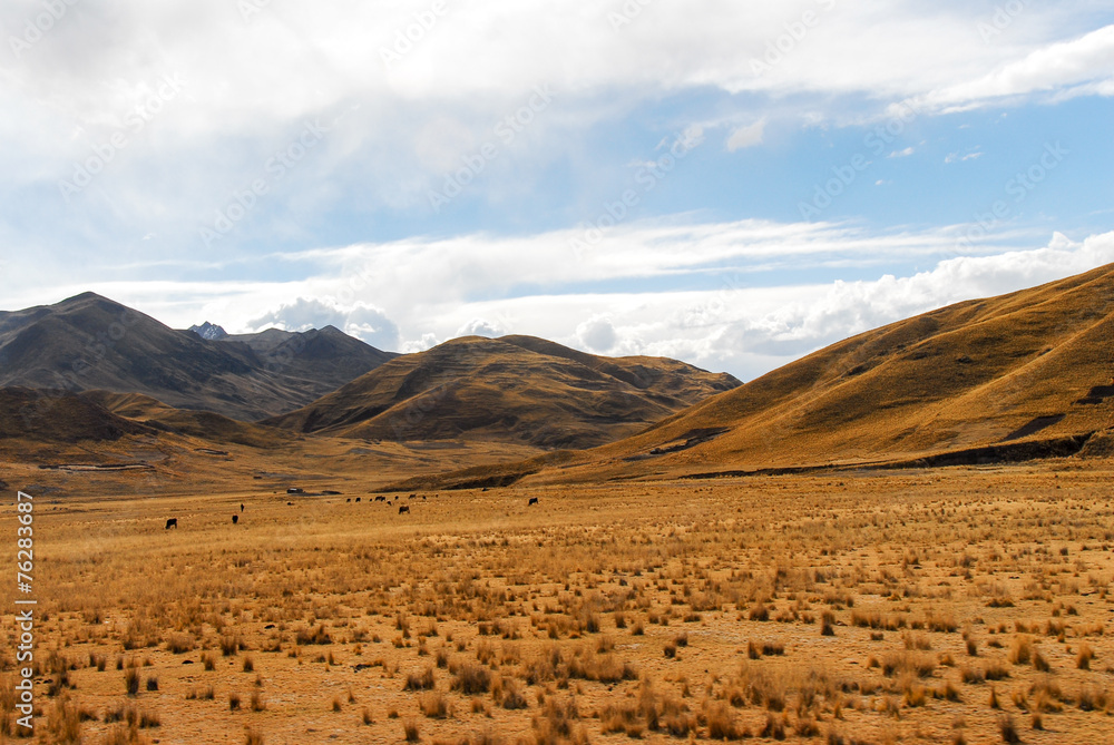 Obraz premium View along the Cusco-Puno Road, Peru