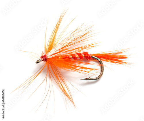 Tableau sur toile Fluffy fly fishing hook isolated on white