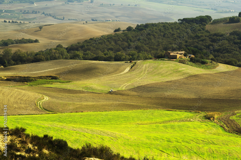 Tuscan fields Tuscan fields