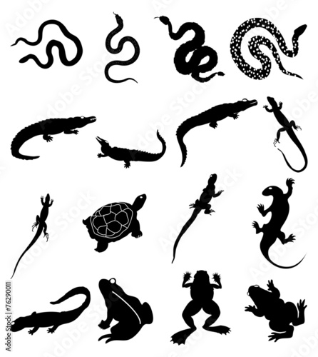 Reptile icons set