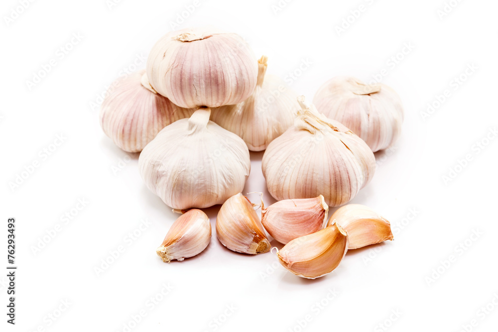 garlic on white background garlic on white background