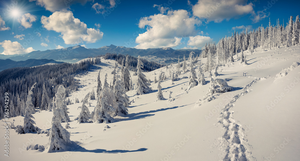 Sunny winter panorama of the Carpathian mountains
