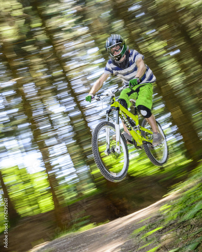 Obraz na płótnie mutiger Sprung im Wald