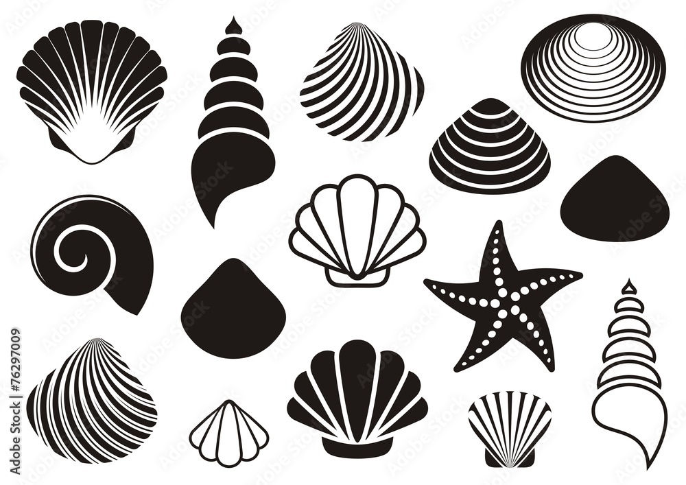 Sea shells and starfish - obrazy, fototapety, plakaty 