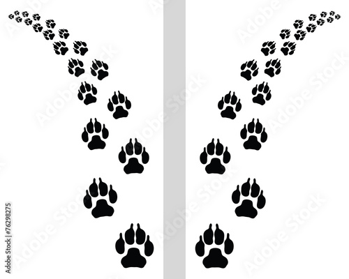 Trail left and right of footstep of dog, vector