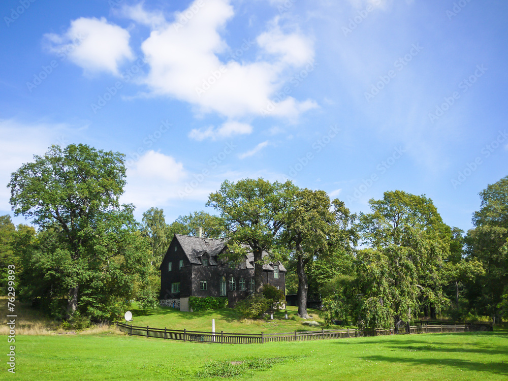Fototapeta premium Dream house