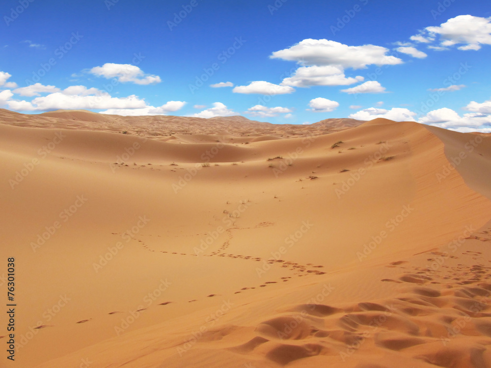 Desert landscape.