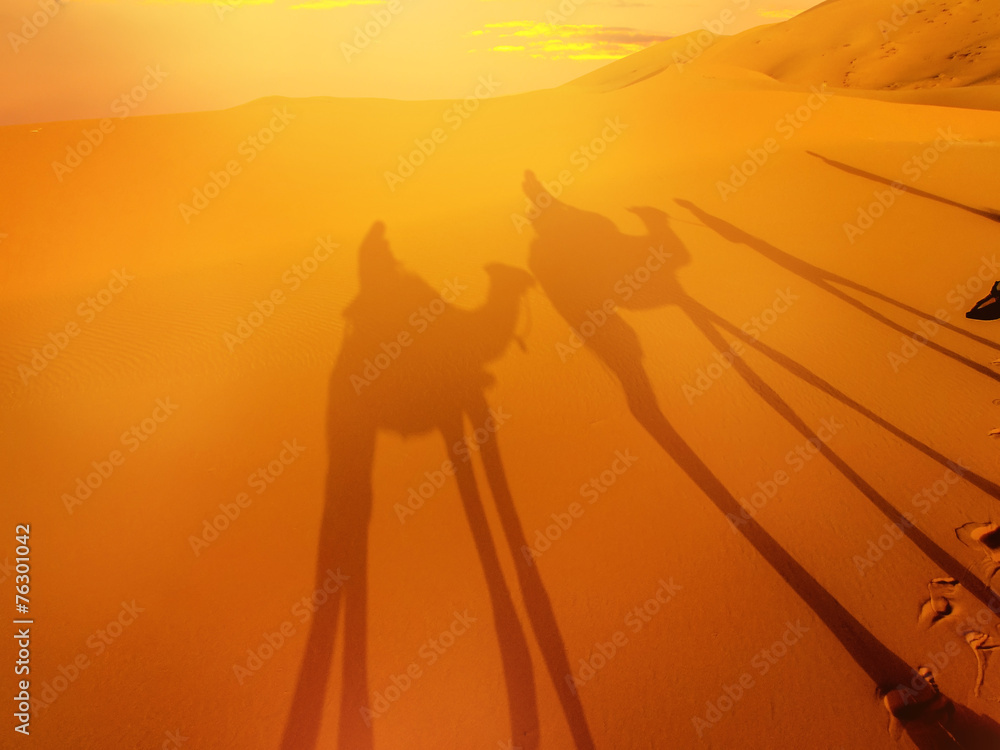 Desert landscape with camel shadow. - obrazy, fototapety, plakaty 
