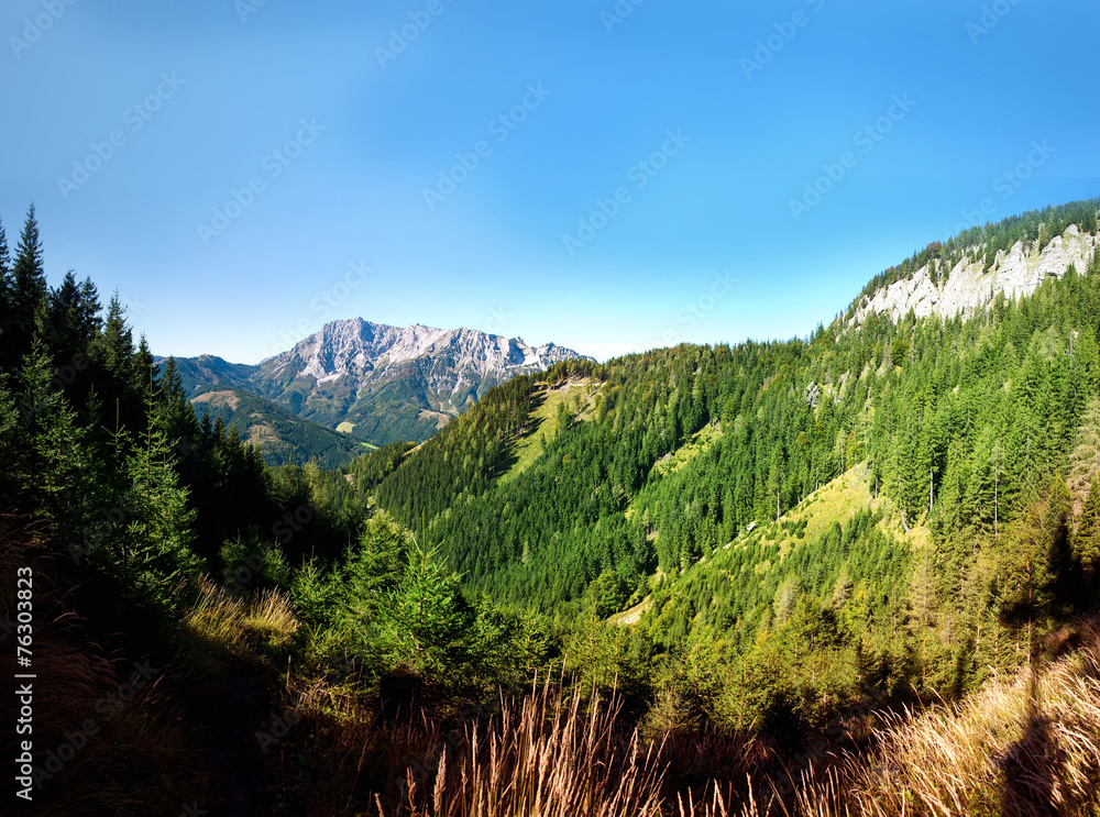 mountains landscape with forest and hill