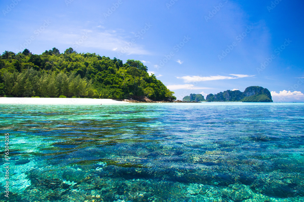 Fototapeta premium Serenity Shore Wallpaper View