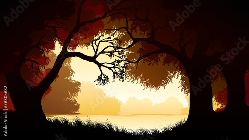 Horizontal illustration within forest.