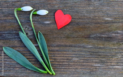 Schneeglöckchen und Herz auf Brett