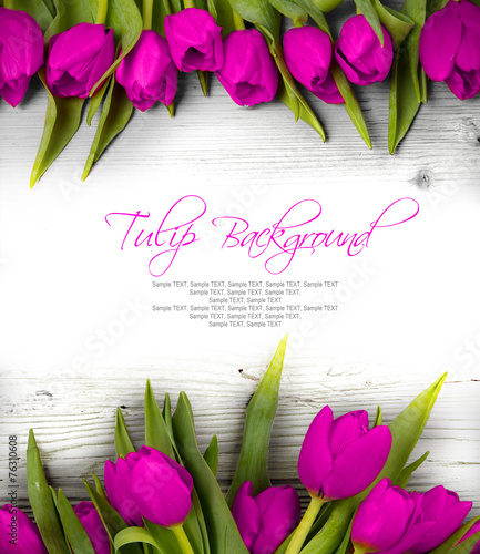 Fototapeta Naklejka Na Ścianę i Meble -  Tulip blooms