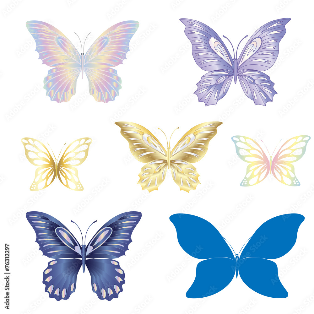 Butterfly set Butterfly set