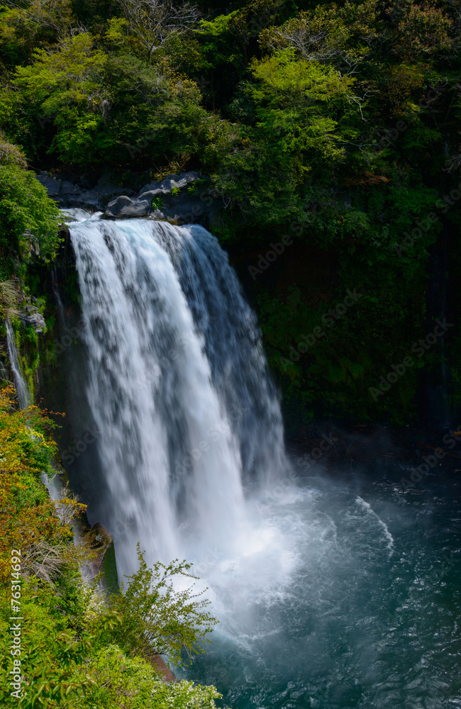 Fototapeta premium Shiraito Falls in Fujinomiya, Shizuoka, Japan