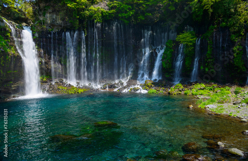 Fototapeta Naklejka Na Ścianę i Meble -  Shiraito Falls in Fujinomiya, Shizuoka, Japan