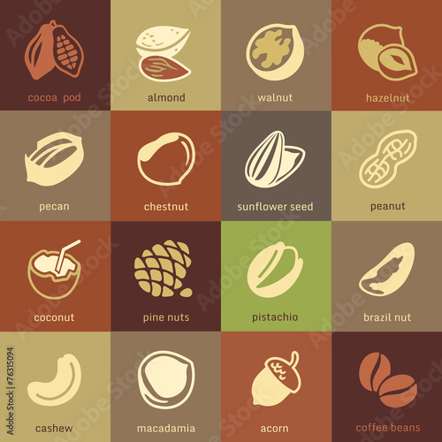 Web icons collection - nuts, beans and seed