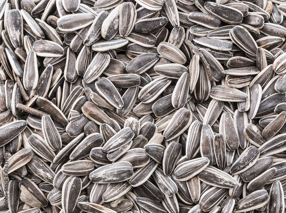 sunflower seeds sunflower seeds