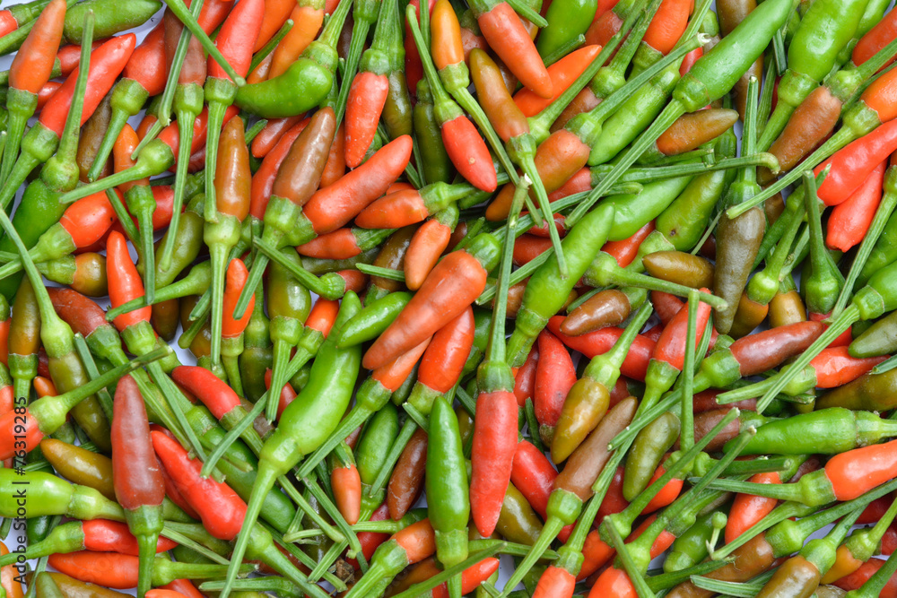 Fresh Chili Peppers Fresh Chili Peppers