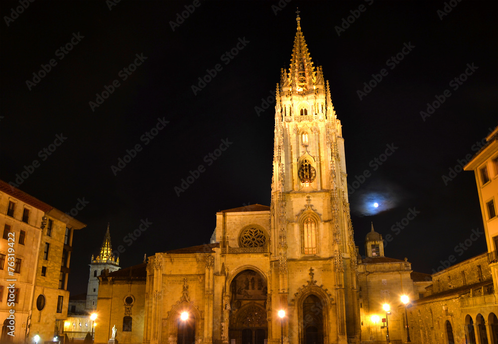 View of the Cathedral of Oviedo at night in Asturias - Spain