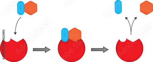 The Lock and Key Mechanism