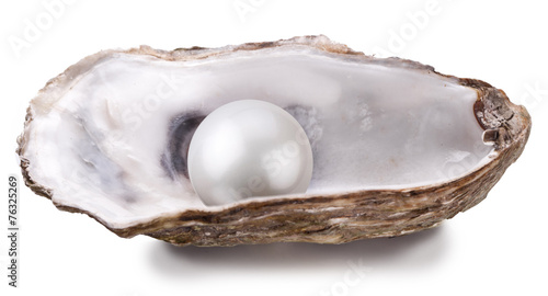 Oyster with pearl isolated.