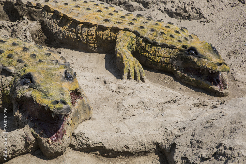 Fototapeta premium crocodile sand in Andalusoa
