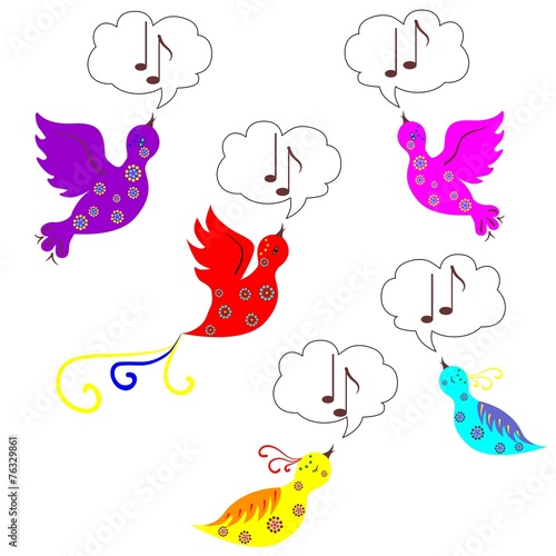 birds sings