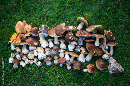 Plakat Récolte de Bolets