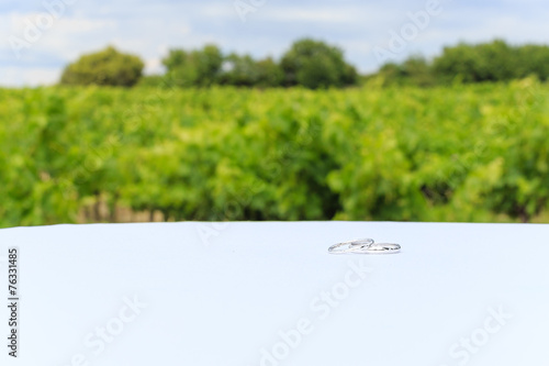 Plakat Alliances dans les vignes