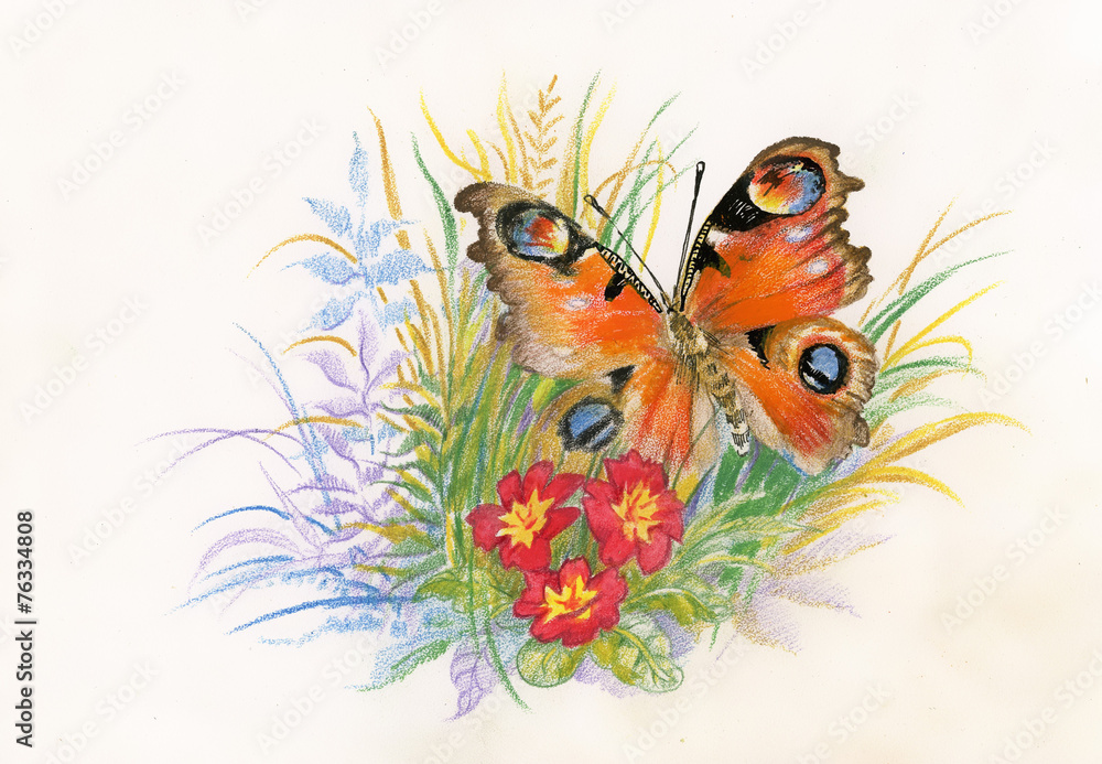 Beautiful butterfly with flowers picture Beautiful butterfly with flowers picture