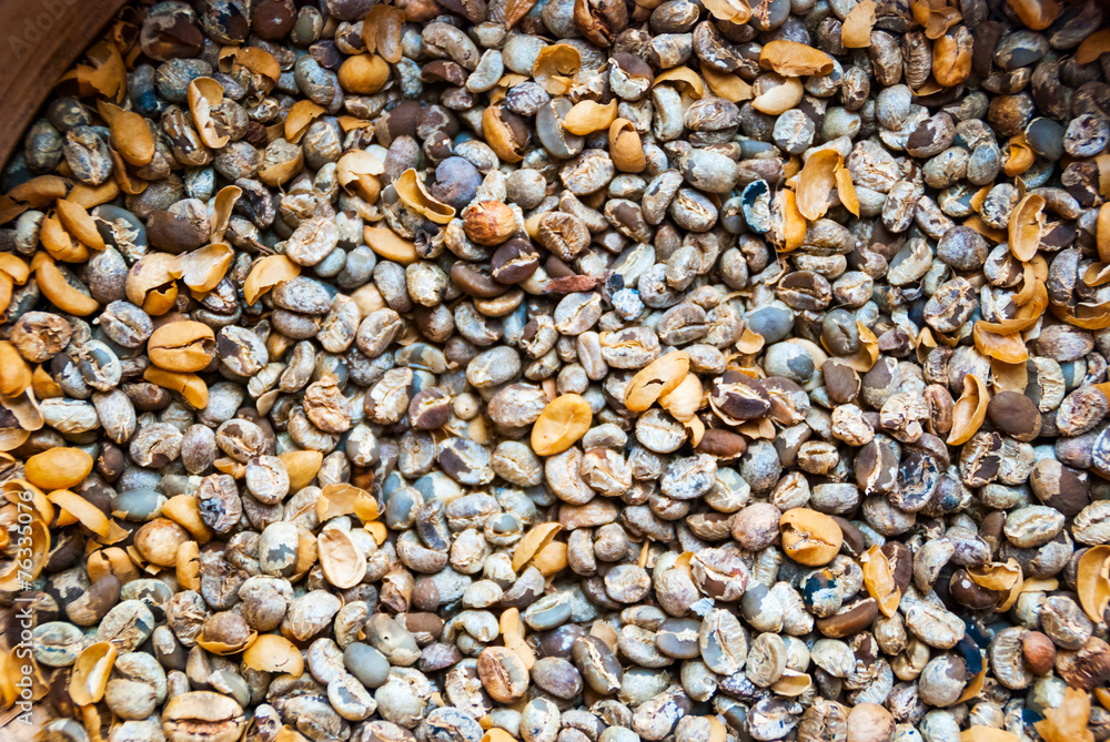 Dry and not roasted coffee beans close up Dry and not roasted coffee beans close up